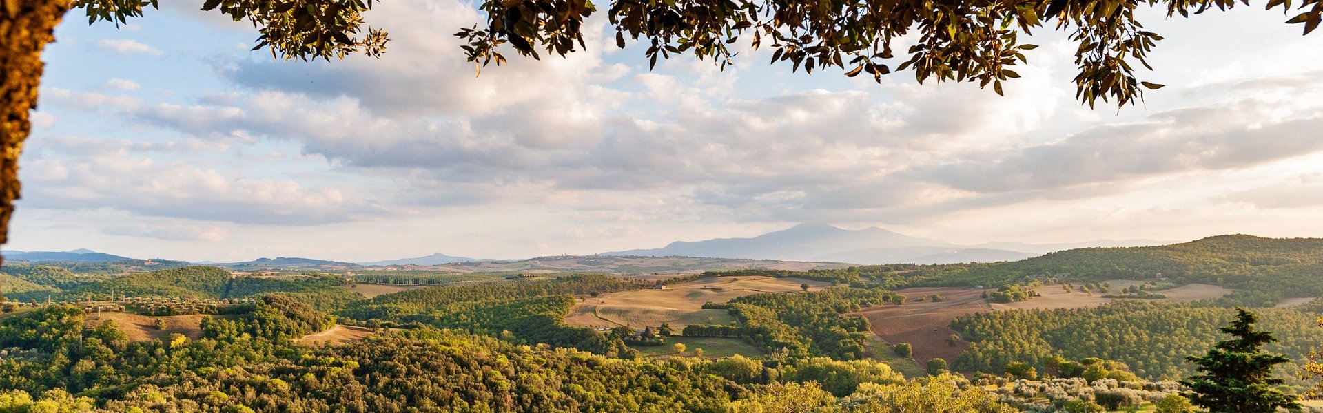 Belvedere di Trequanda