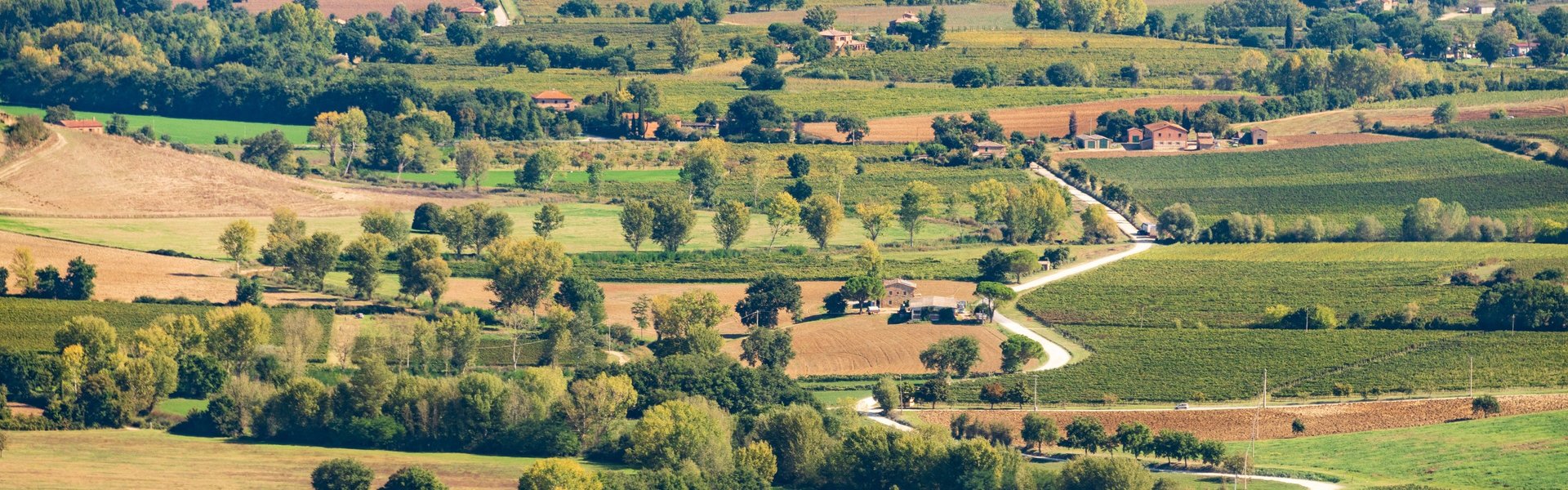 Vista dalla terrazza di Torrita di Siena