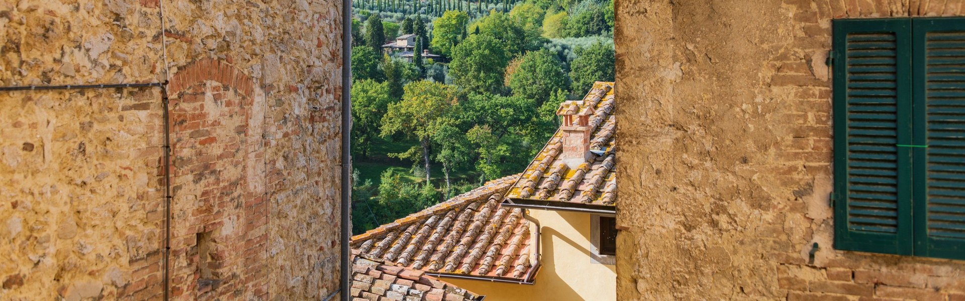 Cetona, panorama dalla Collegiata