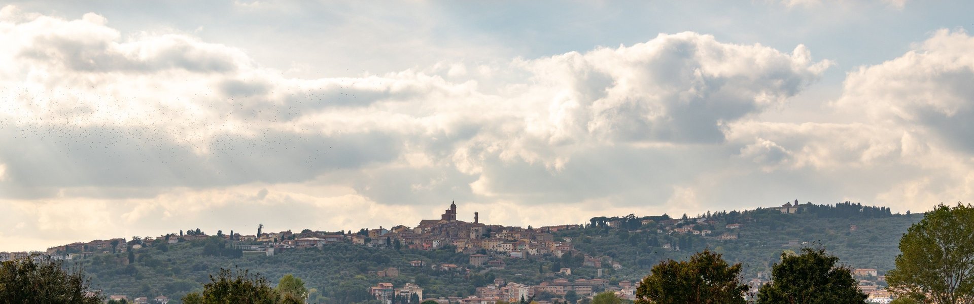 Vista di Sinalunga