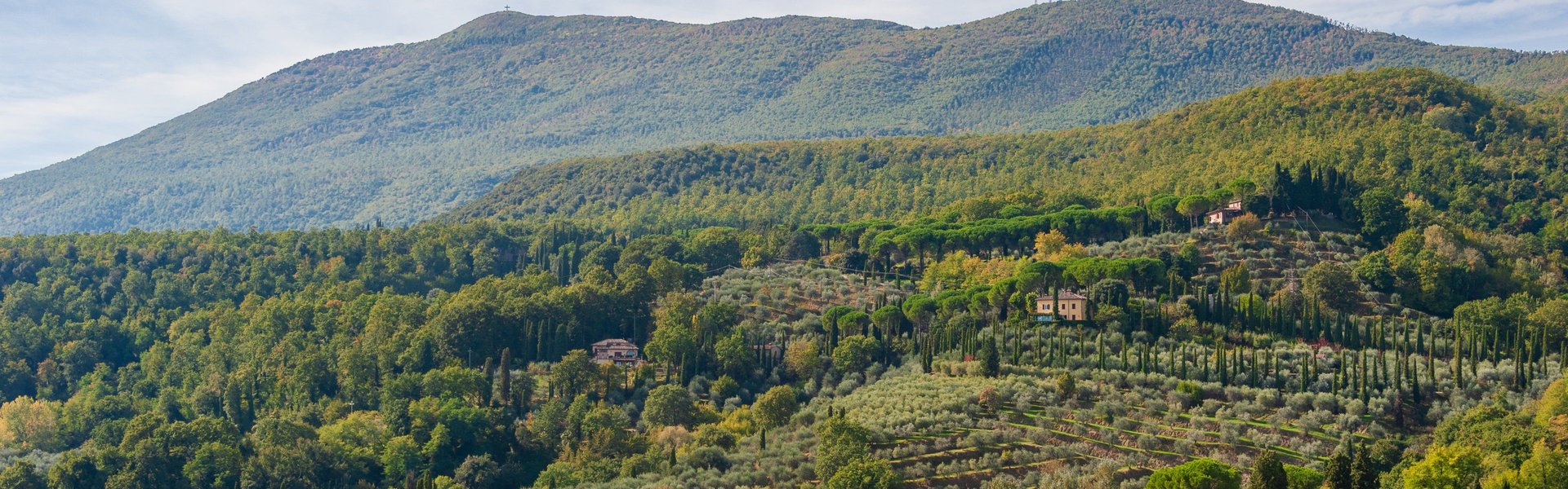 Cetona, panorama dalla Collegiata