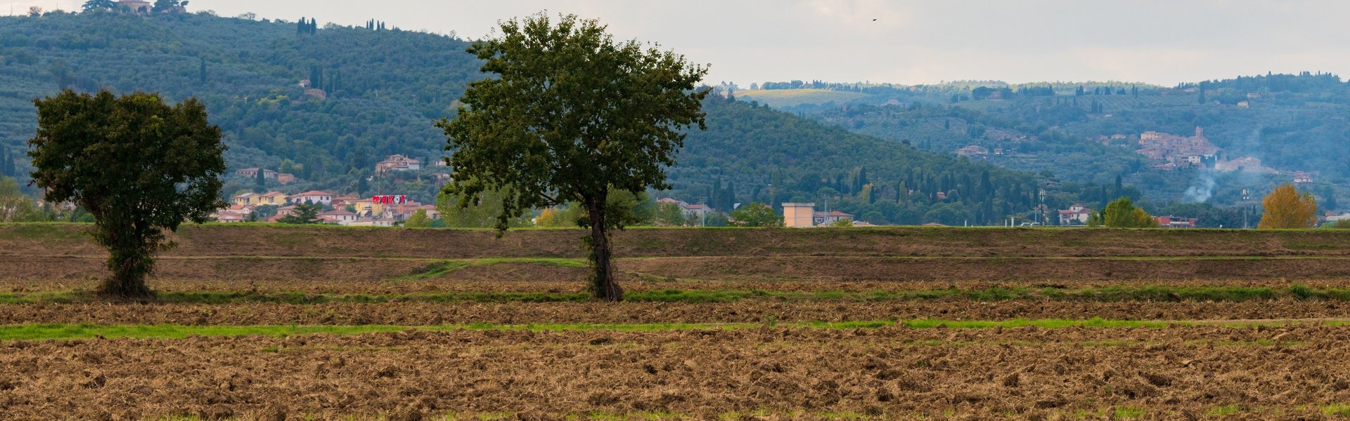 Terreno arato. Sinalunga