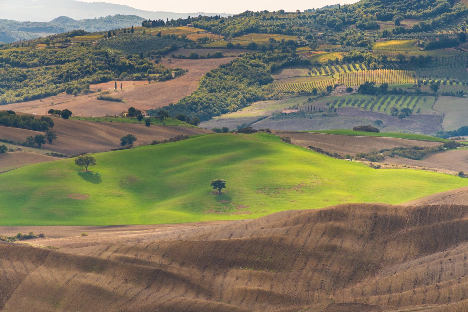 Panorama di Pienza