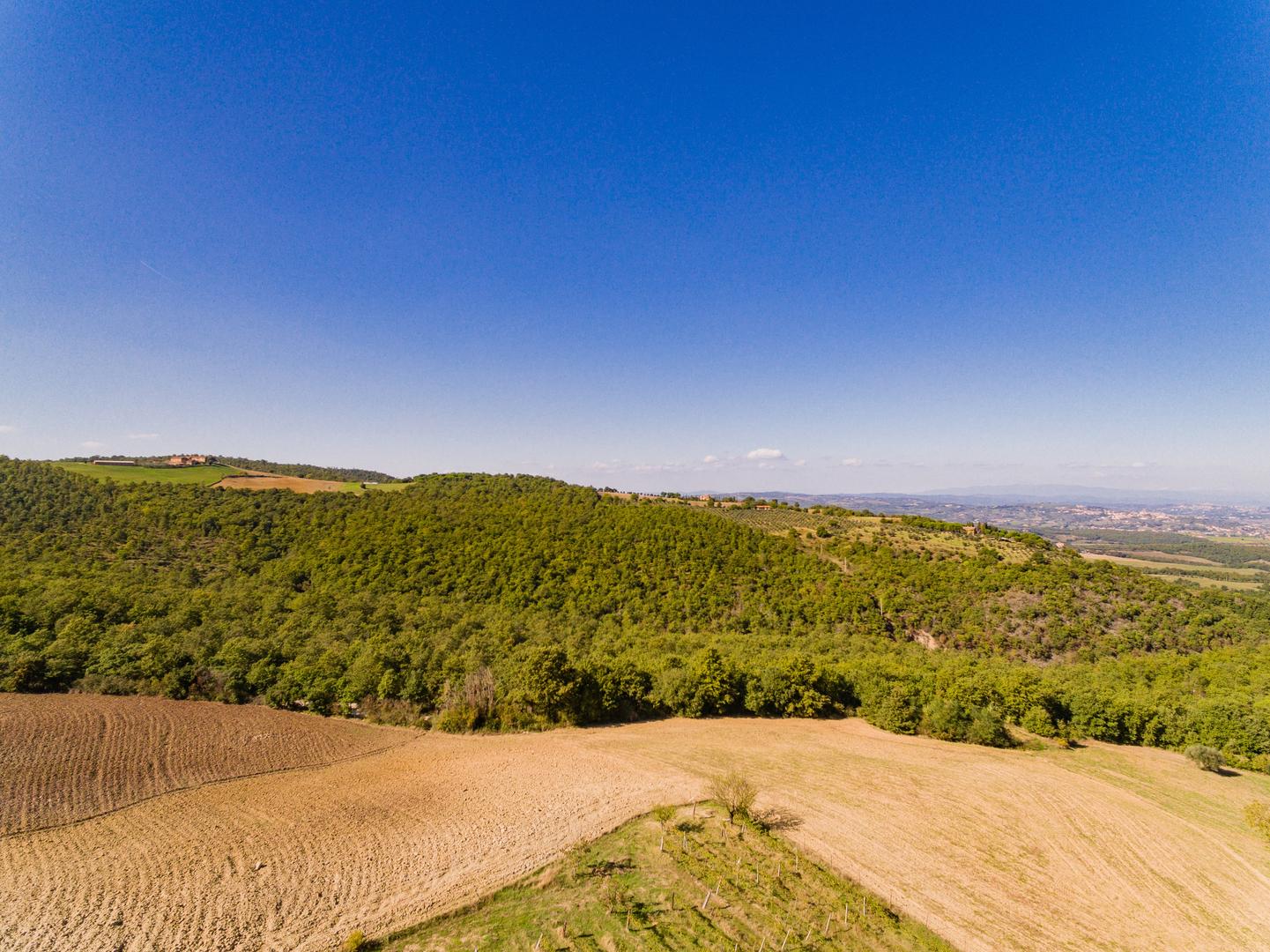 Vista su le vigne di Torrita