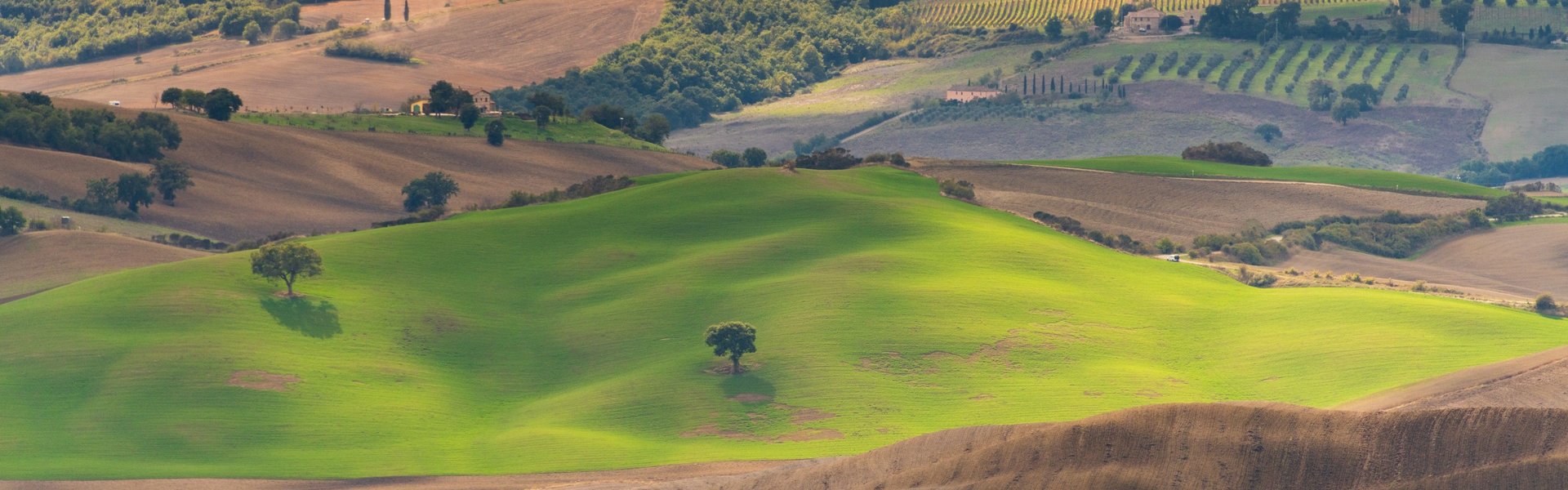 Passeggiata da Pienza